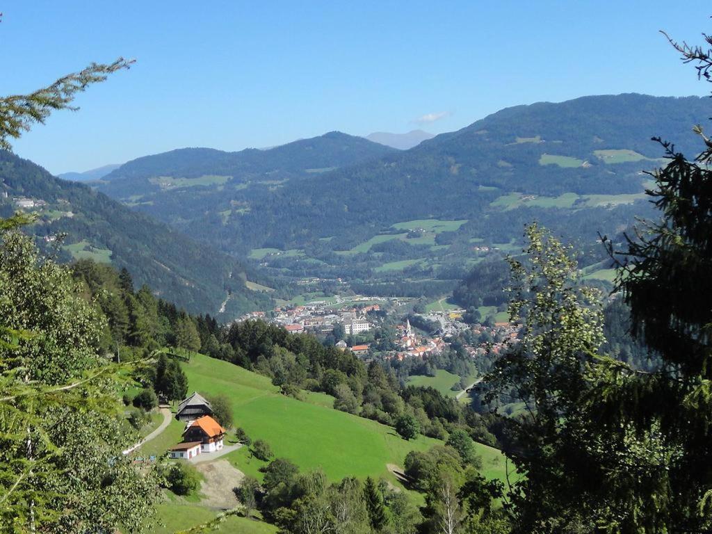 Die Petzl Huette - Kreischbergblick Kaindorf  Экстерьер фото